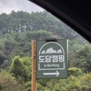 도담H&F