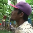 화수분농장 이미지