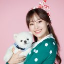시크릿지니