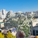 호연반점 이미지