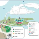 자라섬캠핑장3(B사이트) 티스토리