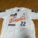 주식회사 한화 | [제품 리뷰]한화이글스 25 어센틱 홈 유니폼 화이트 V2 솔직 후기