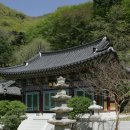 장춘사 - 1818 | 장춘사