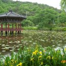진주 용호정원 이미지