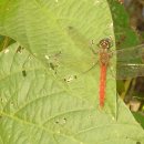 신문화건축사사무소 이미지