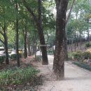 한양부동산중개 이미지