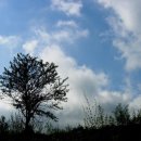 푸른주유소 이미지