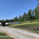 미성농장 이미지