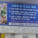 싱싱횟집식당 이미지