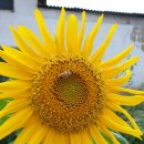 원광2농장 이미지