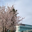 제주대학교병원 일간제주