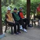 한세상 이미지