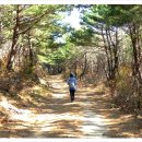 숯방마을 이미지