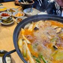 금성애견 이미지