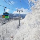 엘리시안강촌눈썰매장 네이버블로그