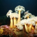 주문진 리조트 이미지