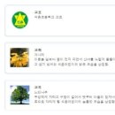 석촌초등학교 이미지