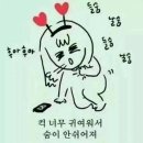 바다랑놀자 이미지