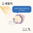 청라여성병원 네이버블로그