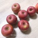 웅이농장 이미지