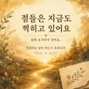하라상사 | 신수정 작가 강연 후기 100세 커리어 비결 10가지 총정리