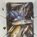 민물가든 이미지