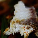 주연식당 이미지