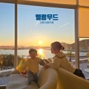 용원우리아이태권도장 | 진해 용원 대형카페 노을 오션뷰 신상카페 엘랑무드 두쫀쿠