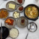 토실배기 이미지