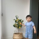 애월채