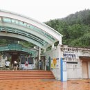 씨채널안경체인태백점 | 데일리투어 ~ 아이들과 함께한 국내 최대 안전체험테마파크 태백 365세이프타운!!