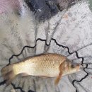 호암낚시터 이미지