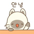 팡팡펜션2