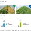 제일농약사2 이미지