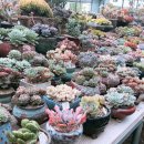 현아네 농장 이미지