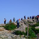 에델바이스 이미지