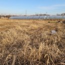 국토개발 행정사 사무소 이미지