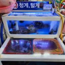 지영이네 활어 이미지