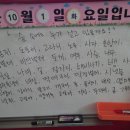 숲속에는 이미지