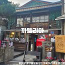 포항 가볼만한곳 구룡포 일본인 가옥거리 까멜리아 카페 방문후기