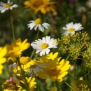 민행정사사무소 이미지