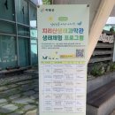 하동유치원 | [경남 하동 여행] 아이와 가볼만한 곳, 하동군 지리산...운영시간, 요금, 주차장, 프로그램, 후기 총정리)