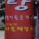 닭돌이와닭순이 이미지