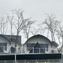 55번지 라면 | 사천 굴구이 유명한 곳 은지네 굴구이 후기