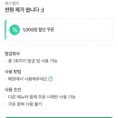 대부도 애견 동반 대형카페 에스텔라 내돈내산 솔직후기