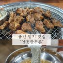 양대로5번길 | 처인구 돼지갈비 맛집 양지 안동한우촌 솔직 방문 후기