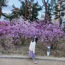 오니와플 | 아이들과 덕수궁 나들이🌸 돌담길 산책 + 리에제 와플 솔직후기 + 길거리 마술 공연까지