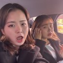 냉갱이 이미지