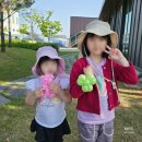 괴산군농업기술센터 화장실 | 청주 5월 어린이날 축제 2025 청주시 도시농업페스티벌 도시락 기본정보 위치 주차장