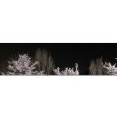 해품달감자탕 앞 이미지